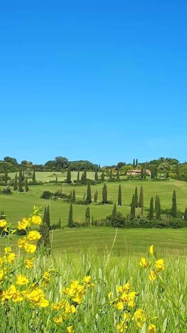 Villa Marta Contignano Екстериор снимка